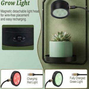 Plant Shelf With Grow Light 4