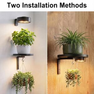 Plant Shelf With Grow Light 9